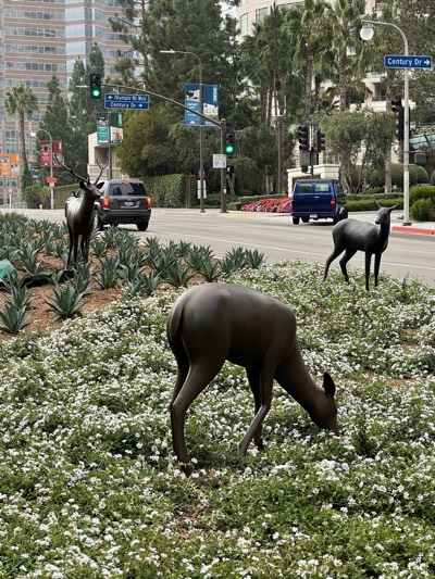 Deer sculpture installation